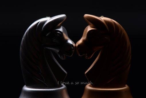 Free Chess Love photo and picture