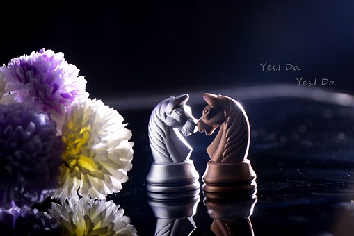 Free Chess Love illustration and picture