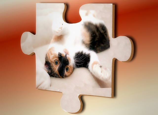 Puzzle, Katze, Teile, Passen