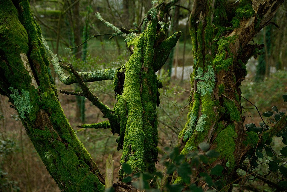 狠狠爱免费视频观看