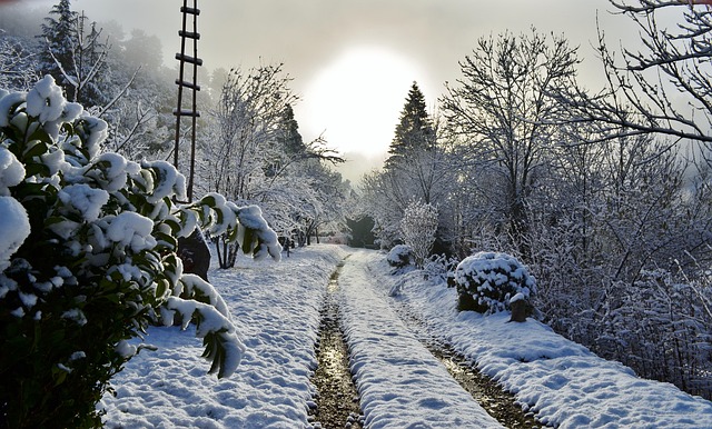 Sti, Sne, Cevennes, Sol, Vinter