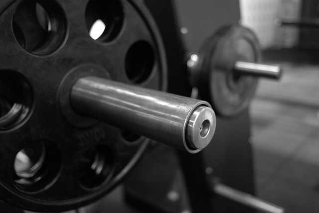 Free Health Fitness photo and picture