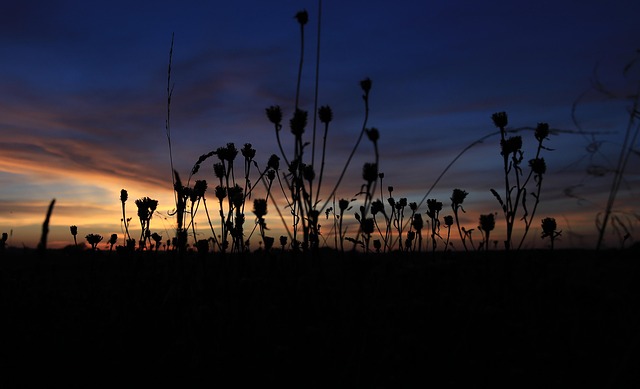 Free Poland Clouds photo and picture