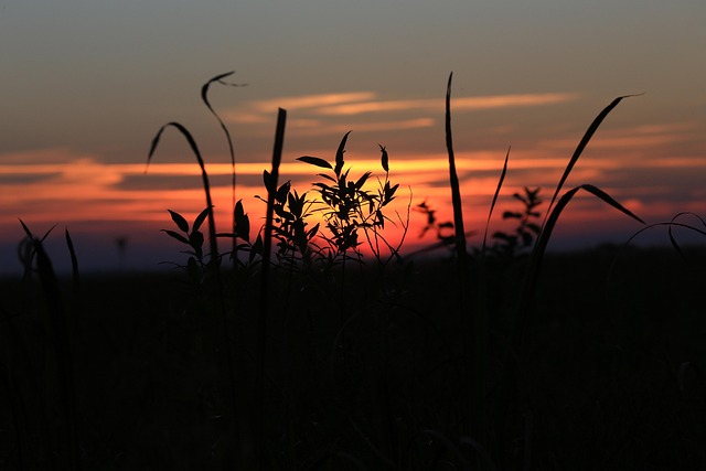 Free Poland Clouds photo and picture