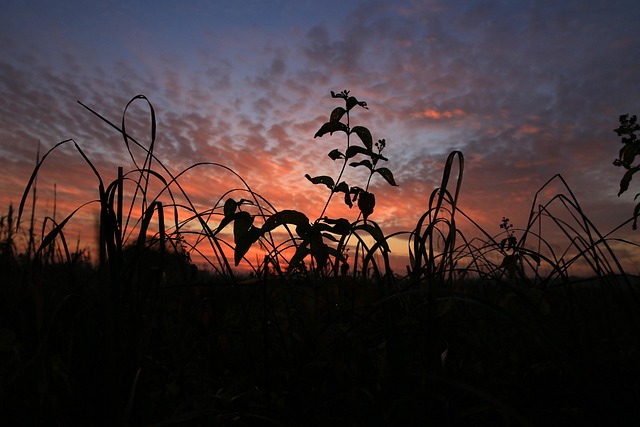 Free Poland Clouds photo and picture