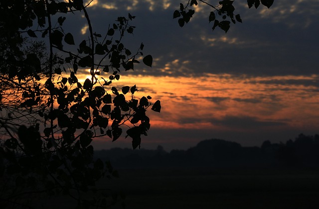 Free Poland Clouds photo and picture