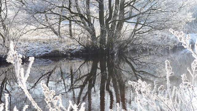Free Silence Hoarfrost photo and picture