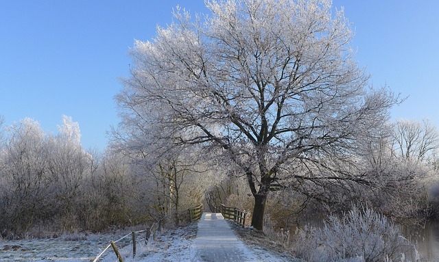 Free Silence Path photo and picture