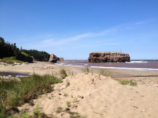 Free New Brunswick Coast photo and picture