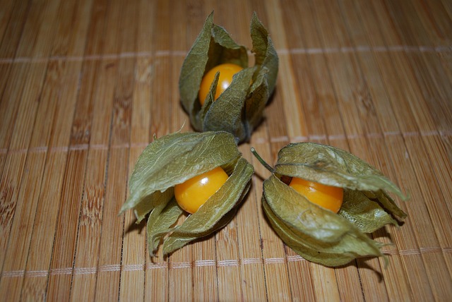Free Three Opened photo and picture