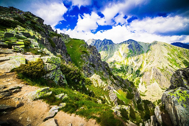 Free Mountain Green photo and picture
