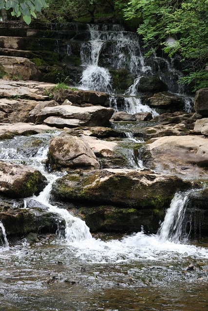 Free Waterfall Water photo and picture