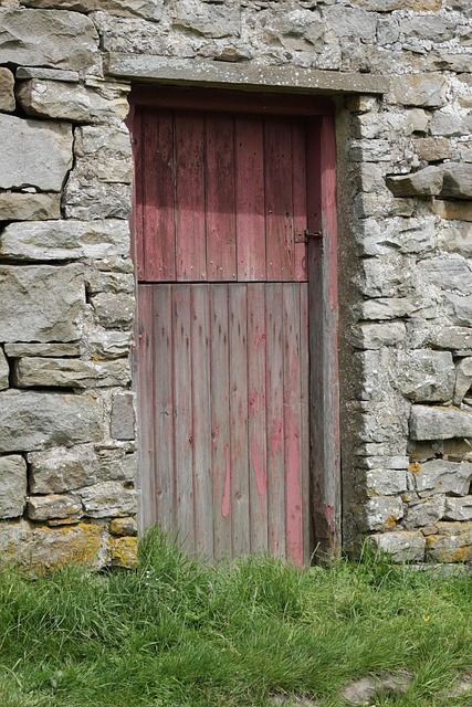 Free Door Red photo and picture
