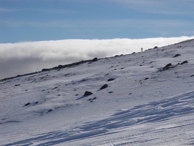 Free Alpine Mountain photo and picture