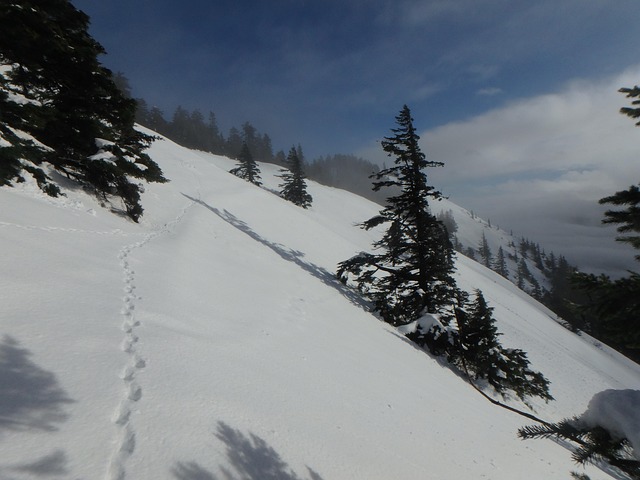 Free Snow Mountain photo and picture
