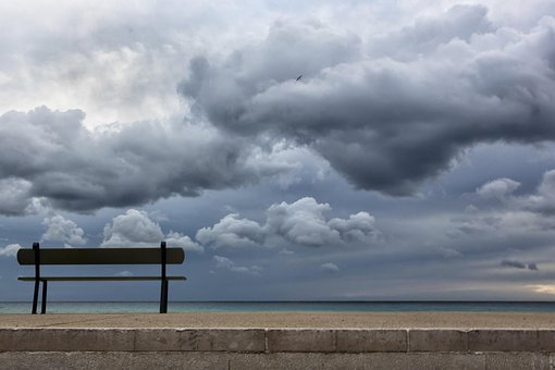 Free Bench Sea photo and picture
