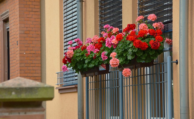 Free Balcony Plants Flower Background photo and picture