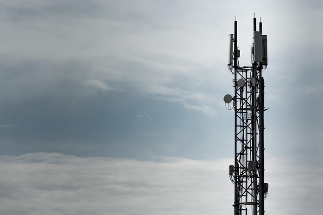 Free Cellular Transmitter Cellphone Network photo and picture