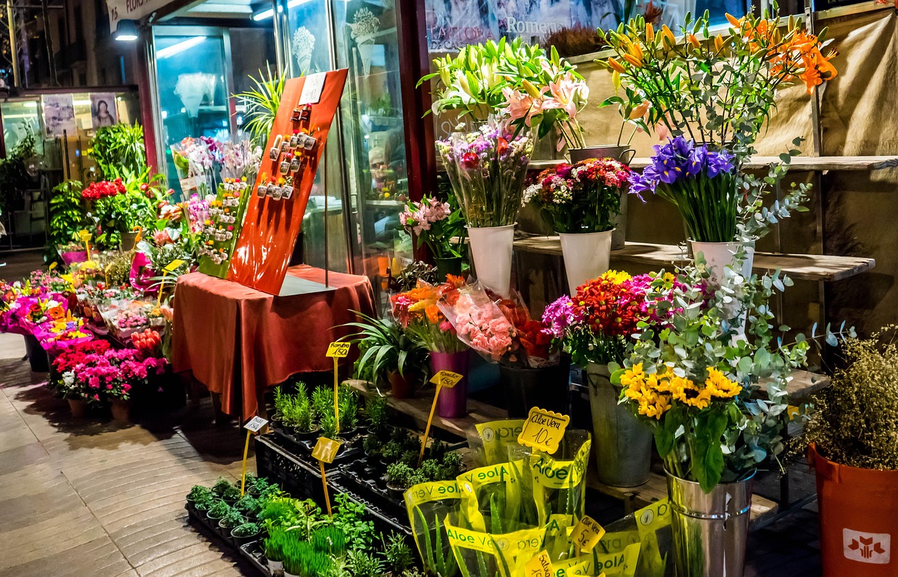 flower shop selling succulent plants and flowers