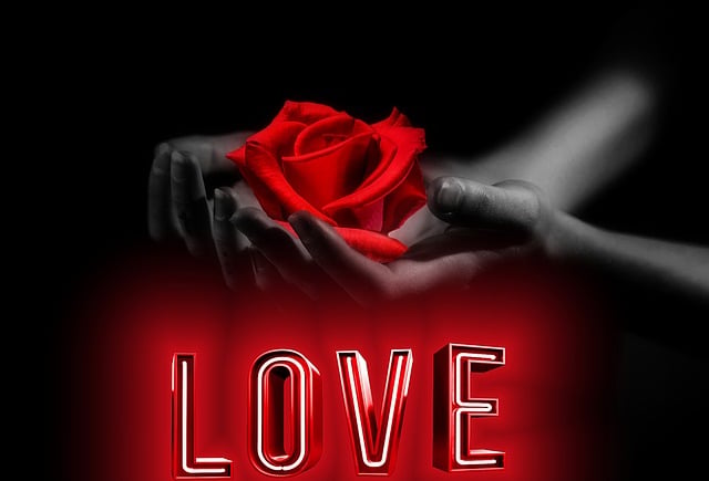 Free hands rose love illustration