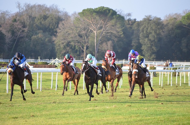 Hipódromo, Carreras, Caballos
