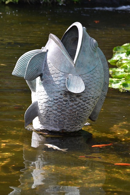 Free Fish Pond photo and picture