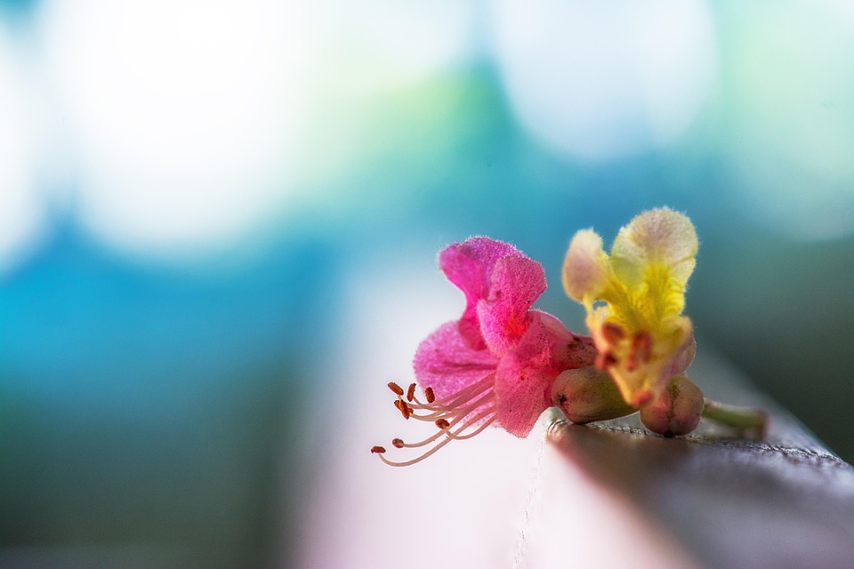 雨后的小故事动态图