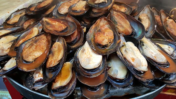 Free Scallops Baked Scallops photo and picture