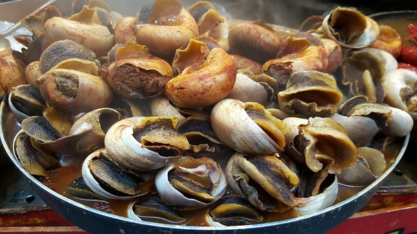 Free Slug Snail Baked photo and picture