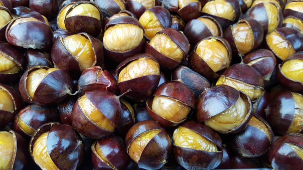 Free Roasted Chestnuts Chesnuts photo and picture