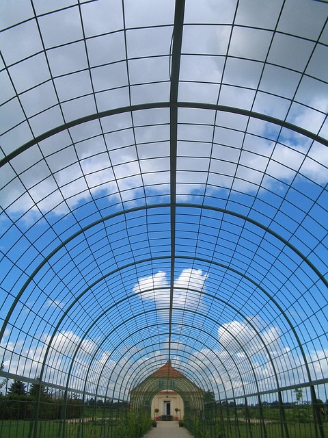 Free Arch Net photo and picture