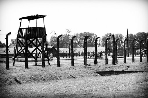 Free Concentration Camp Auschwitz photo and picture