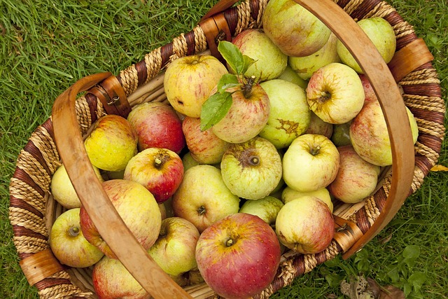 Free Apples English Apples photo and picture