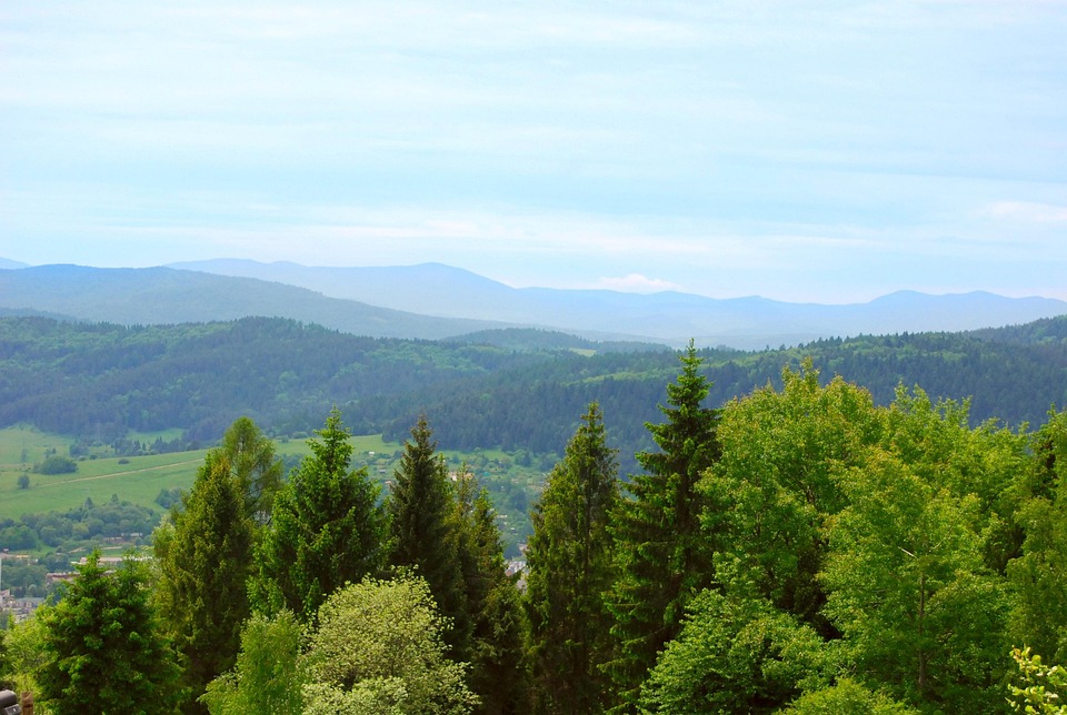 Pegunungan Wallpaper Hutan Foto Gratis Di Pixabay
