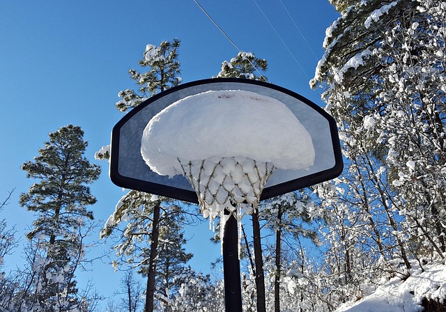 Free Snow Winter photo and picture
