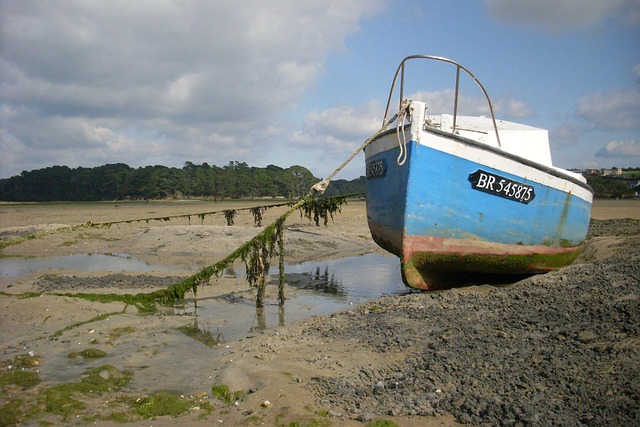 Free Boat Sea photo and picture