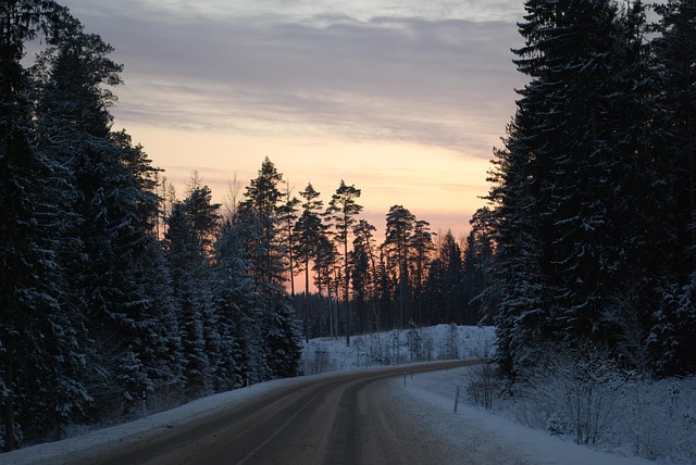 Free Way Road photo and picture