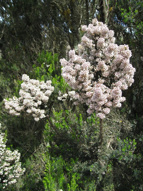 Free Heather White photo and picture