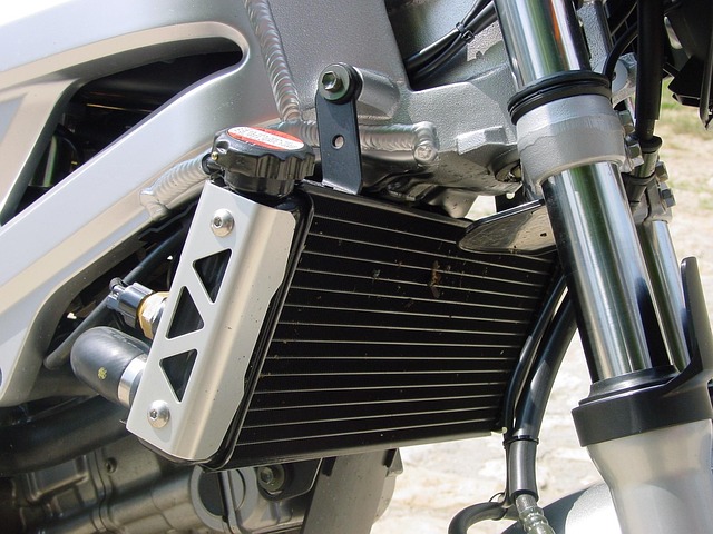 Suzuki, Gaffel, Krom, Teleskop