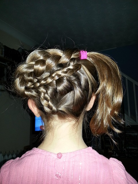 Free Hair Plait photo and picture