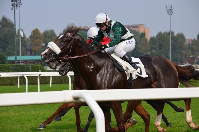Hipódromo, Raza, Llego