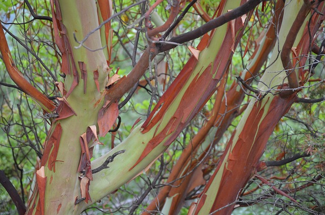 Free Autumn Mood photo and picture
