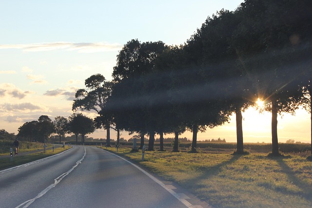 Rua, Rodovia, Rota, Natureza, Árvores