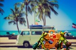 holiday, luggage, palm trees