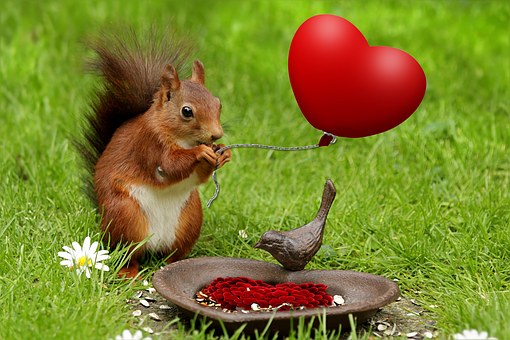 Free Valentine Heart illustration and picture