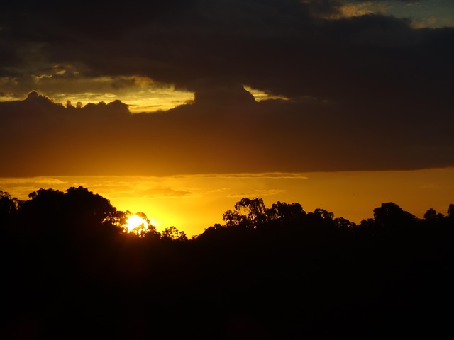 Free Sunset Gold photo and picture