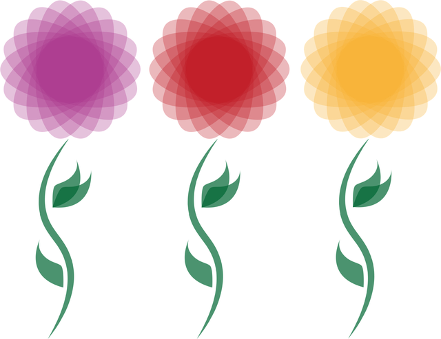 Free chrysanthemum flower blossom vector