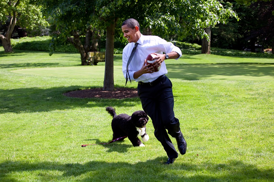 Barack Obama And Bo, 2009, Play, Run