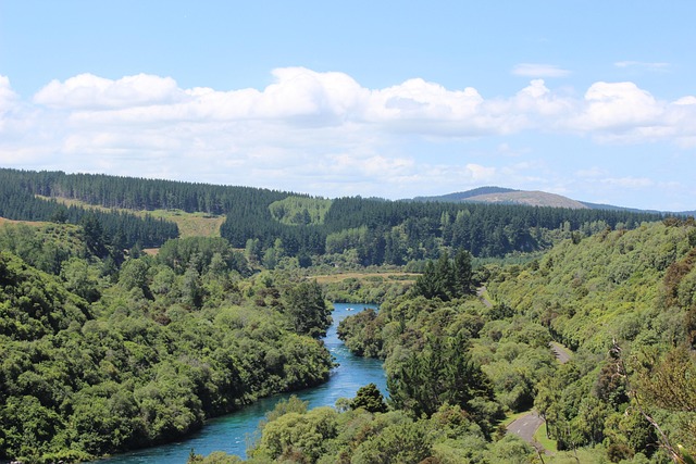 Free River New Zealand photo and picture