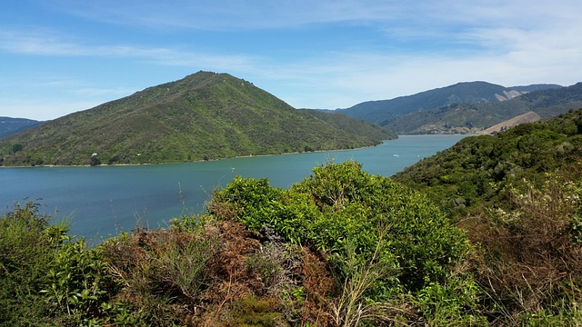 Free Mountain Water photo and picture